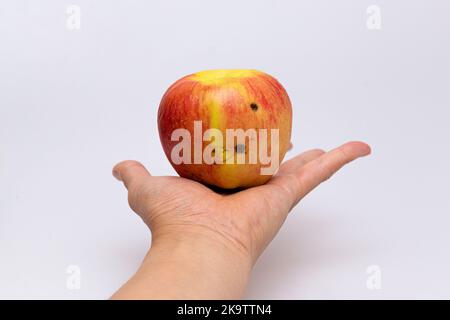 Red rotten apple concept eaten by worms Stock Photo