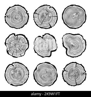 Round tree trunk cuts with cracks, sawn pine or oak slices, lumber. Saw cut timber, wood. Wooden texture with tree rings. Hand drawn sketch. Vector Stock Vector