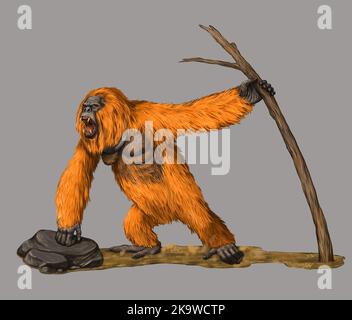 Prehistoric primates gigantopithecus. Giant orangutan. Ancestors of humans illustration. Stock Photo