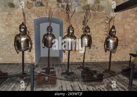 Noble warrior. Portrait of one medeival warrior or knight in armor and helmet with shield and sword posing isolated over dark background. Stock Photo