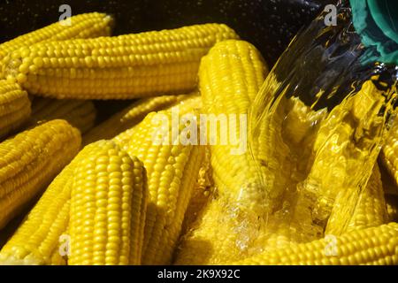 Process of cooking fresh mature corn. Sale of freshly boiled hot corn at fair. Natural yellow background. Close-up. Selective focus. Stock Photo