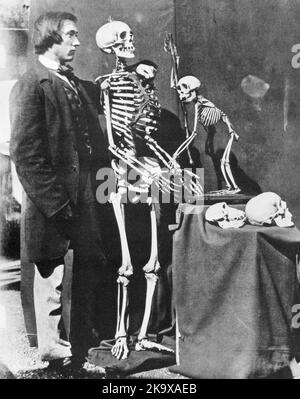 Charles Lutwidge Dodgson ('Lewis Carroll') photograph of Reginald Southey with skeletons of human and monkey - 1857 Stock Photo