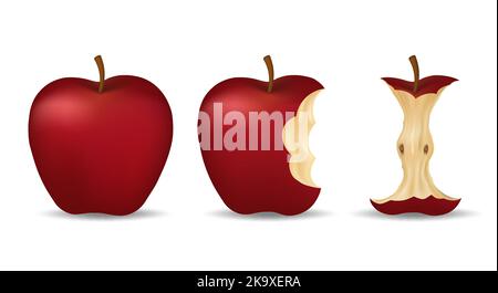 Realistic bitten apple Stock Vector