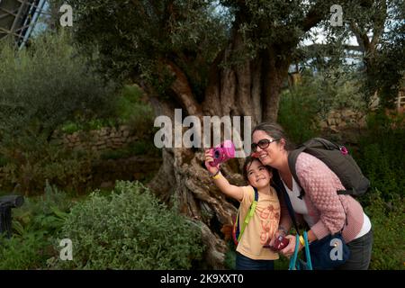 A family enjoy a day out, taking photos in front of an olive tree in the Mediterranean biome at the Eden Project in  Bodelva, St Austell, Cornwall, UK Stock Photo