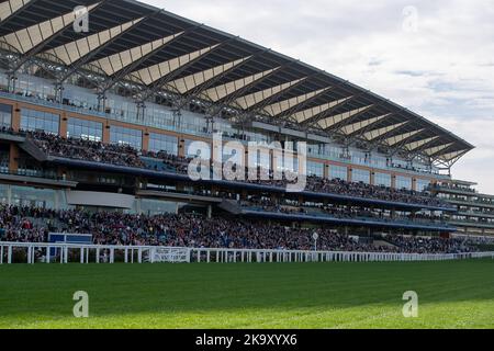 Ascot, Berkshire, UK. 29th October, 2022. Credit: Maureen McLean/Alamy Live News Stock Photo