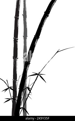 Hand drawn illustration of a bamboo black silhouette against a white background. Easy editable layered vector illustration. Stock Vector