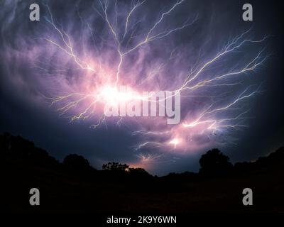 Multiple spider lightnings reaching across the sky in a thunderstorm at night, in a wide angle view Stock Photo