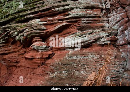 Layers in red rock on a winter day in the Palatinate Forest of Germany near Devil's Table. Stock Photo