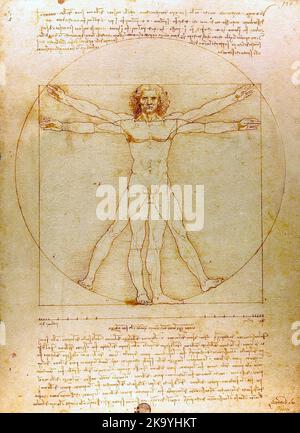 The Vitruvian Man (1485) by Leonardo da Vinci Stock Photo
