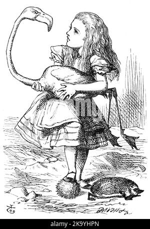 Illustration from Alice in Wonderland. 'The chief difficulty Alice found at first was in managing her flamingo'. Illustration by John Tenniel, 1865. Stock Photo