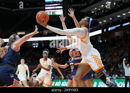 Tennessee, USA. November 5, 2018: Tennessee Lady Volunteers mascot Smokey  during the NCAA exhibition basketball game between the University of  Tennessee Lady Volunteers and the Carson Newman Eagles at Thompson Boling  Arena