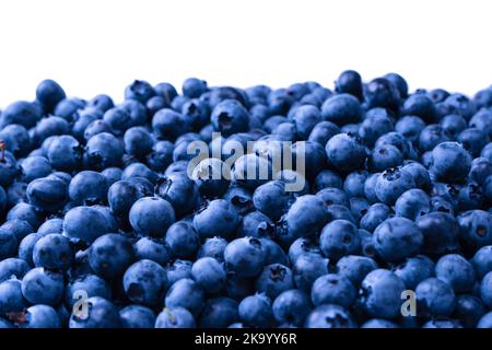 Fresh blueberry as a background isolated on white background. Stock Photo