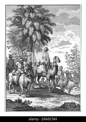 Men with turbans on their heads bring gum in leather bags to Senegal. They ride through a landscape with palm trees, on camels, oxen and horses. Stock Photo