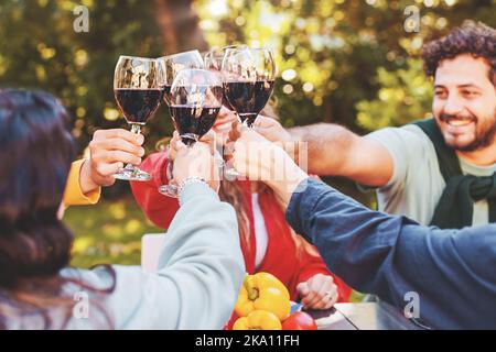 Happy friends raising wine glasses for a celebratory toast sitting in the vineyard - group of young people having fun sitting together at picnic table Stock Photo