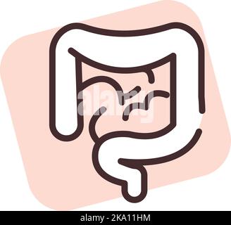 Human organ intestines, illustration or icon, vector on white background. Stock Vector