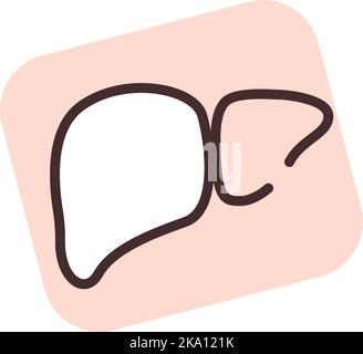 Human organ liver, illustration or icon, vector on white background. Stock Vector