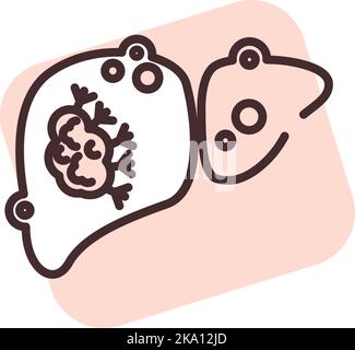 Medical liver, illustration or icon, vector on white background. Stock Vector