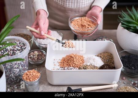 soil substrate preparation for transplanting houseplants on concrete background Stock Photo