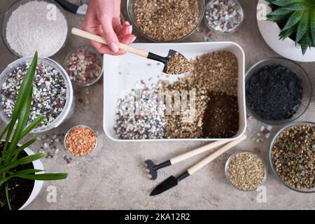 soil substrate preparation for transplanting houseplants on concrete background Stock Photo