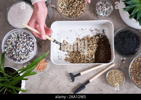 soil substrate preparation for transplanting houseplants on concrete background Stock Photo