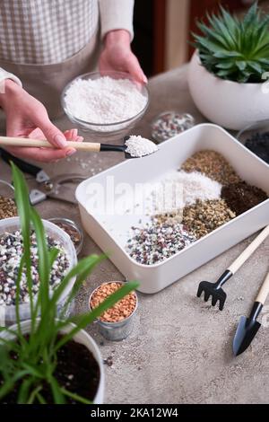 soil substrate preparation for transplanting houseplants on concrete background Stock Photo