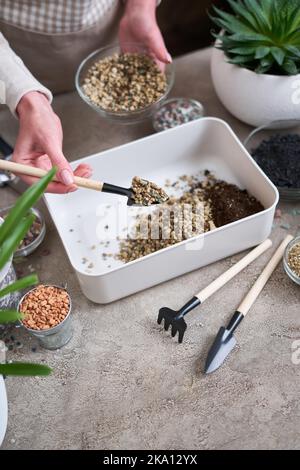 soil substrate preparation for transplanting houseplants on concrete background Stock Photo