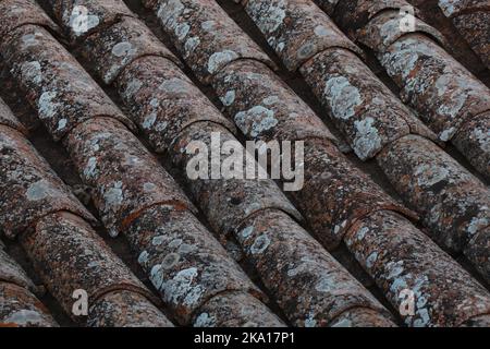 Roof tiles with lichens of an old traditional Spanish village house.   Old Tile Roof Texture Spain. Alcudia old tile roof. Stock Photo