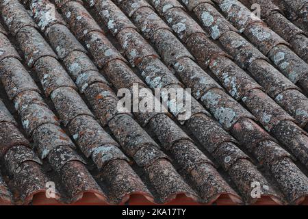 Roof tiles with lichens of an old traditional Spanish village house.   Old Tile Roof Texture Spain. Alcudia old tile roof. Stock Photo