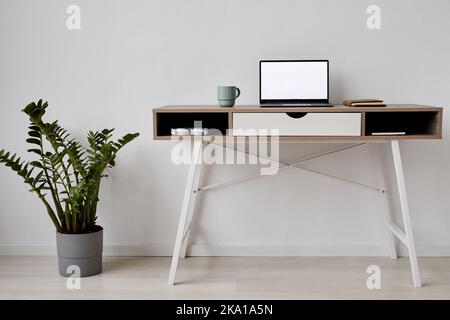 Workplace of freelancer or student taking online course with laptop standing on desk by green domestic plant in flowerpot Stock Photo