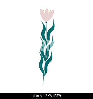 Snowdrop flower. Flowers and plants. Vector illustration in flat style Stock Vector