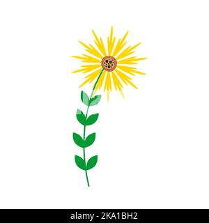 A flower with elongated yellow petals looks like a sunflower. Flowers and plants. Vector illustration in flat style Stock Vector