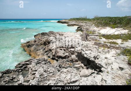 The scenic view of a rocky beach and a dry tree on uninhabited island Half Moon Cay (Bahamas). Stock Photo