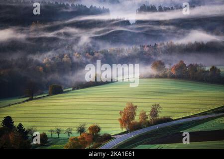 Uttenweiler, Germany. 31st Oct, 2022. Clouds of fog drift over a wooded area in Upper Swabia in the morning shortly after sunrise. Credit: Thomas Warnack/dpa/Alamy Live News Stock Photo