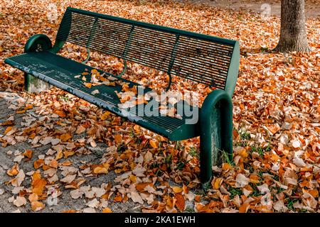 A green bench of a city public park is covered with colorful autumn leaves, Bientina, Pisa, Italy Stock Photo