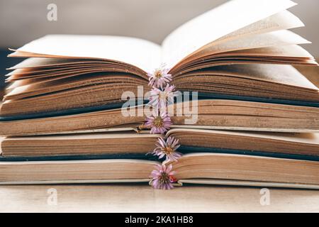 Open old books stacked, close-up on blurred background. Stock Photo