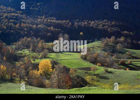 Fall colors in nature. Beautiful landscape. Forest and meadows at autumn sunny day. Stock Photo