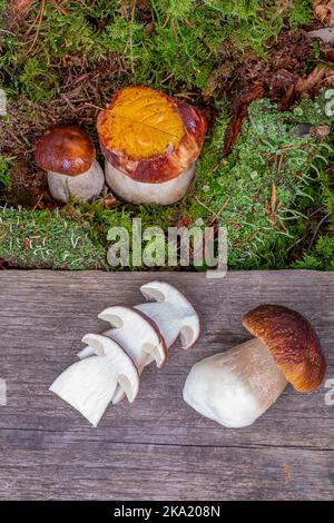 Cut porcini mushrooms on a wooden background, mushrooms growing in green moss, close-up Stock Photo