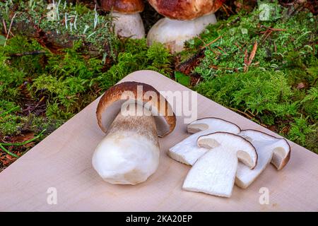 cutting board with porcini mushrooms on green moss, close-up Stock Photo