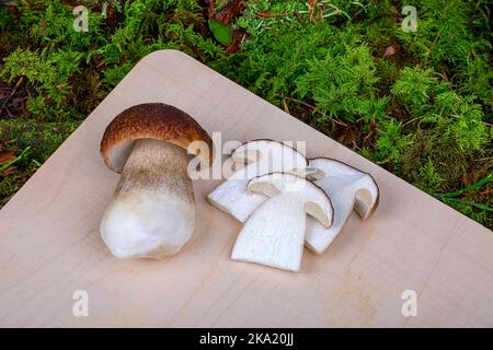 Porcini mushrooms on a cutting board against a background of green moss, close-up Stock Photo