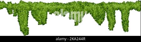 Horizontal endless swamp moss pattern on white background Stock Vector