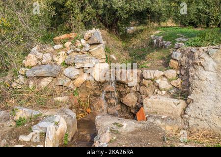Irrigation Water Running Through an Olive Grove in Andalusia Spain Stock Photo