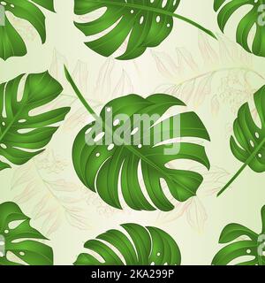 Seamless texture Philodendron tropical jungle leaves nature  background  vector illustration editable hand drawn Stock Vector