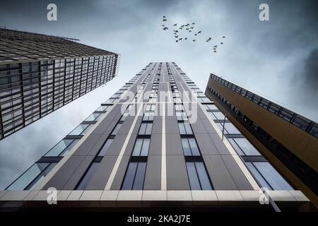 Birmingham England Dramatic perspective tower block modern apartment building looking up to skyline with birds flying above. Cityscape with moody Stock Photo