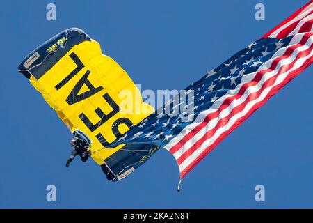 A member of the US Navy Leap Frogs parachute team brings the American flag to the 2022 Miramar Airshow in San Diego, California. Stock Photo