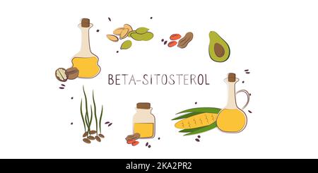 Beta-sitosterol-containing food. Groups of healthy products containing vitamins and minerals. Set of fruits, vegetables, meats, fish and dairy. Stock Vector