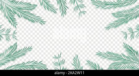 christmas winter background fir branches isolated transparent Stock Vector