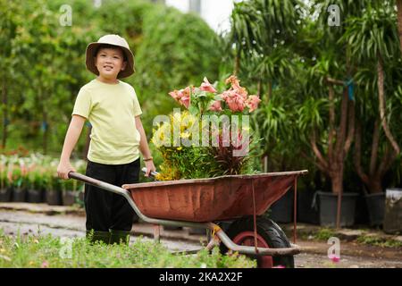 Portrait of happy little boy pushing wheelbarrow with blooming flowers in pots Stock Photo