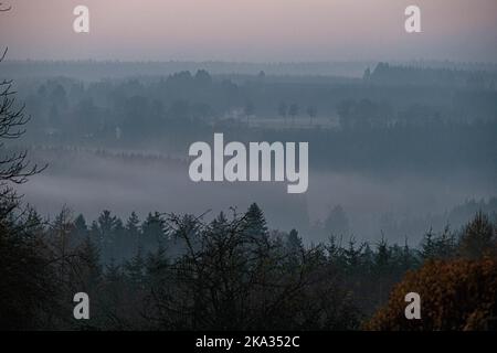 The view of the foggy forest against the sky. Stock Photo