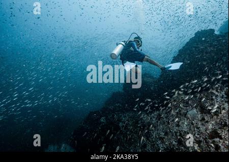 diver exploring the ocean close to Chumphon in the gulf of Thailand Stock Photo