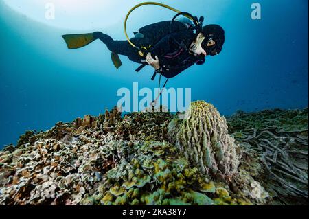 Diver exploring a reef at the gulf of Thailand close to Koh Tao Stock Photo